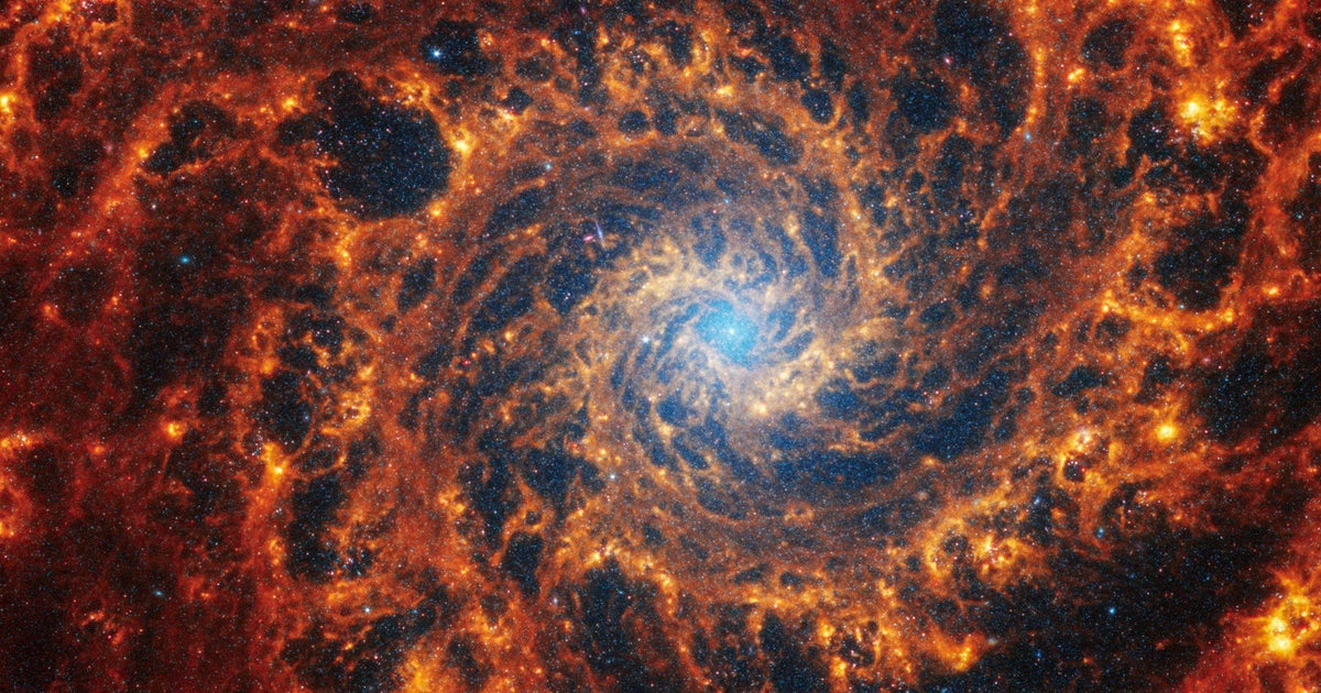 'Mind-blowing' Webb Telescope images reveal 19 galaxies 'down to the smallest scales ever observed' - Vimarsana News