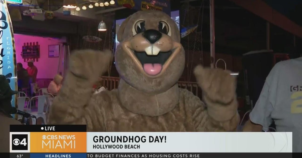 Hollywood has enjoyable celebration to mark Groundhog Day Hollywood has enjoyable celebration to mark Groundhog Day