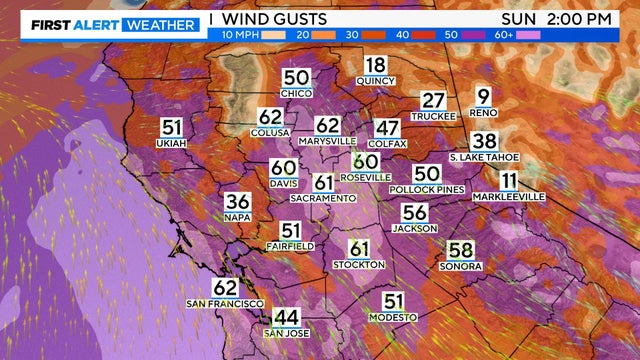 wind-gusts-gfs.png 