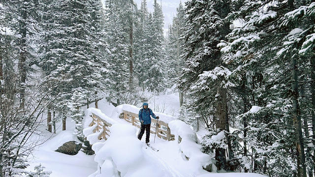 courtesy-rmnp-a-park-visitor-is-cross-country-skiing-in-rocky-mountain-national-park.jpg 