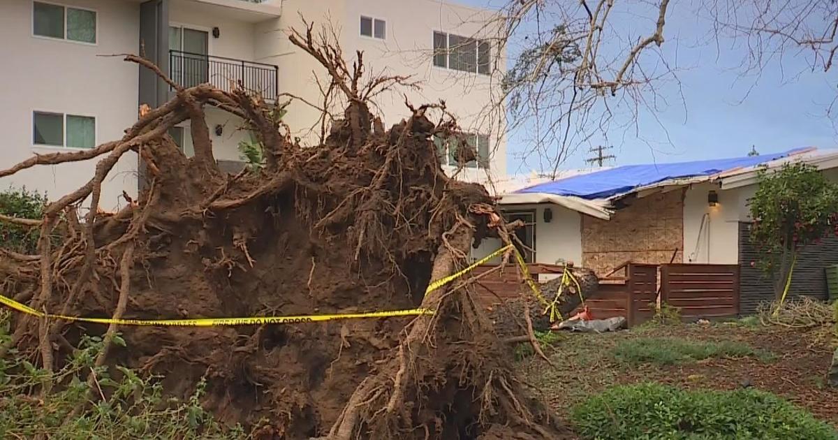 Vrouw uit Sacramento beschrijft close call nadat boom op huis valt