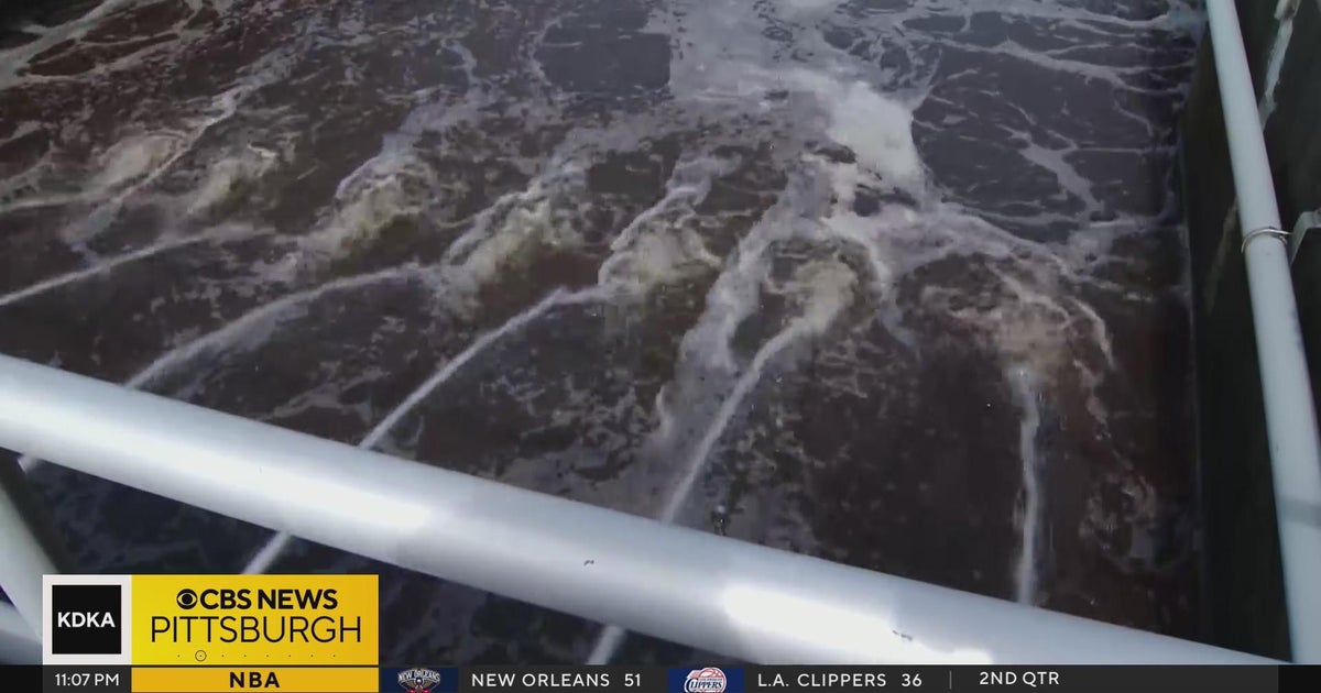 Study finds high levels of harmful chemicals in rivers - CBS Pittsburgh