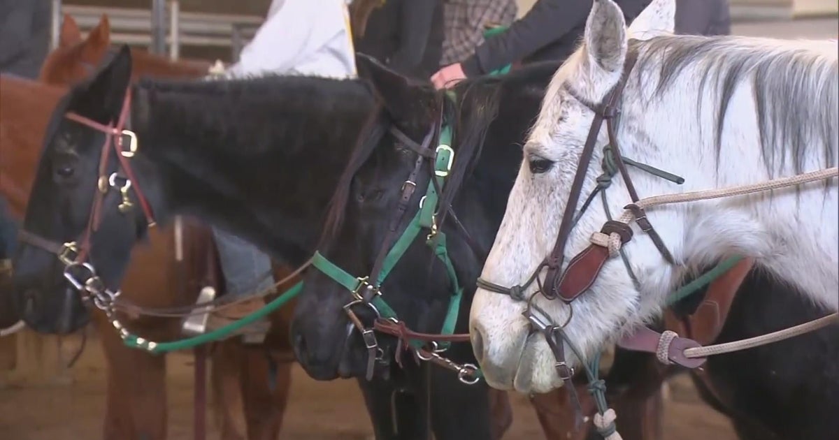 U.S. Forest Service trains employees on horses for treks in the ...