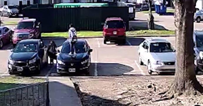 Dallas mother recovering after being attacked by dog outside her home ...