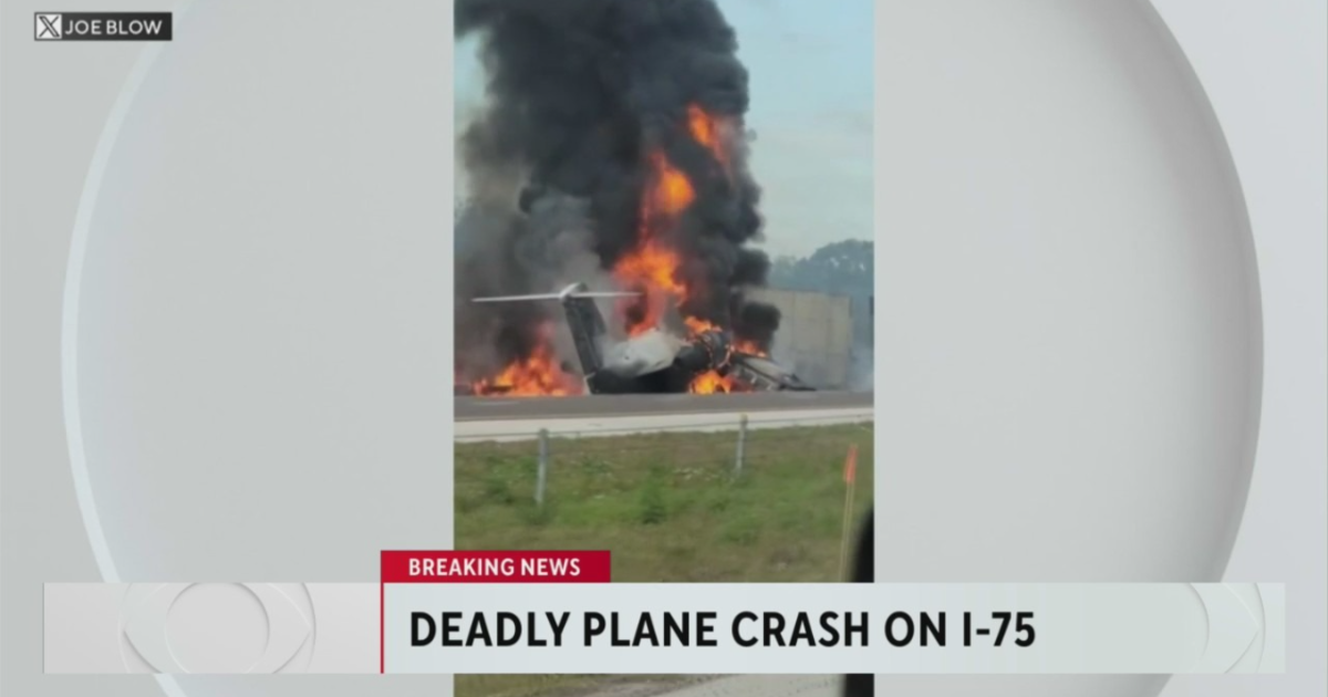 Witness of Collier County aircraft crash on I-75 offers assistance to survivors