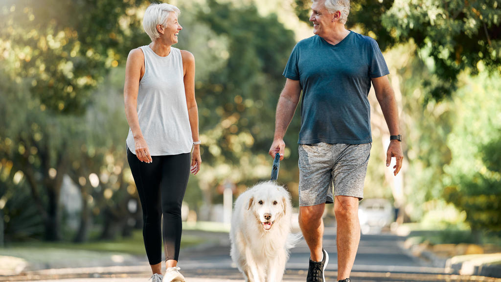 Research finds small amount of physical activity can reduce risk of
stroke