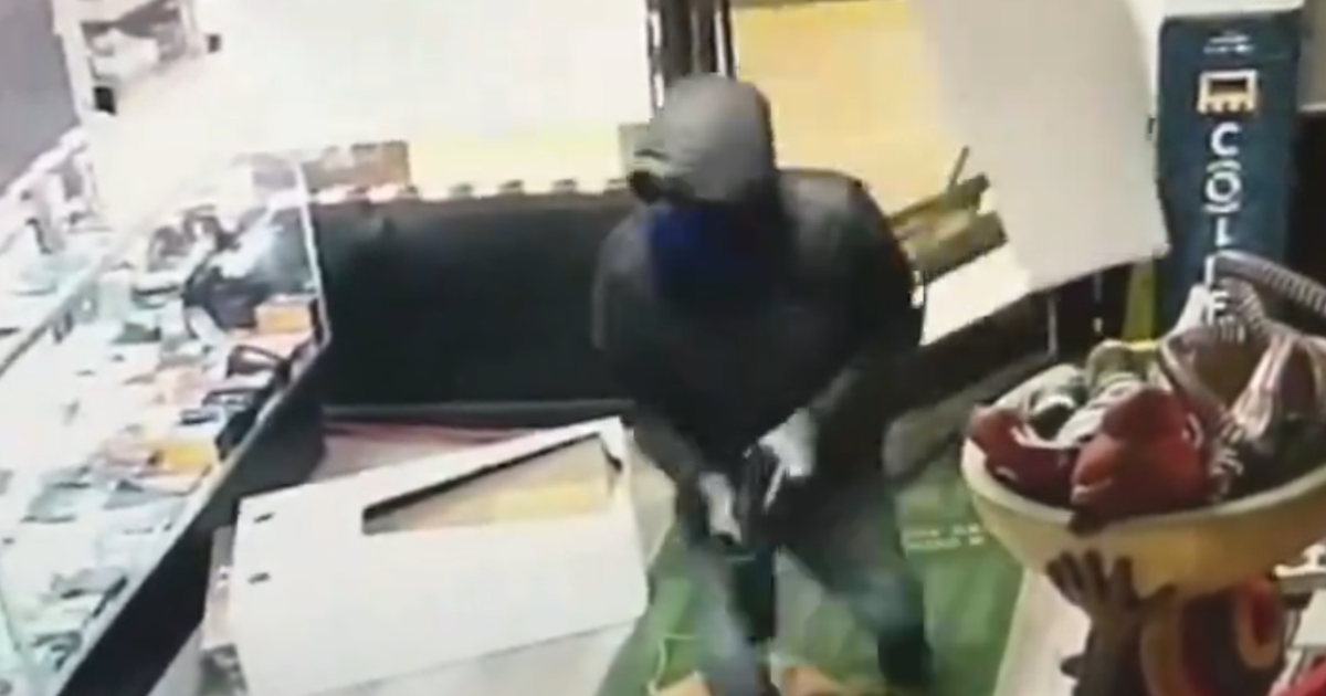 Wheat Ridge police search for smash-and-grab burglars who targeted ...
