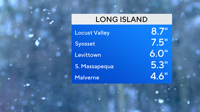 snow totals 