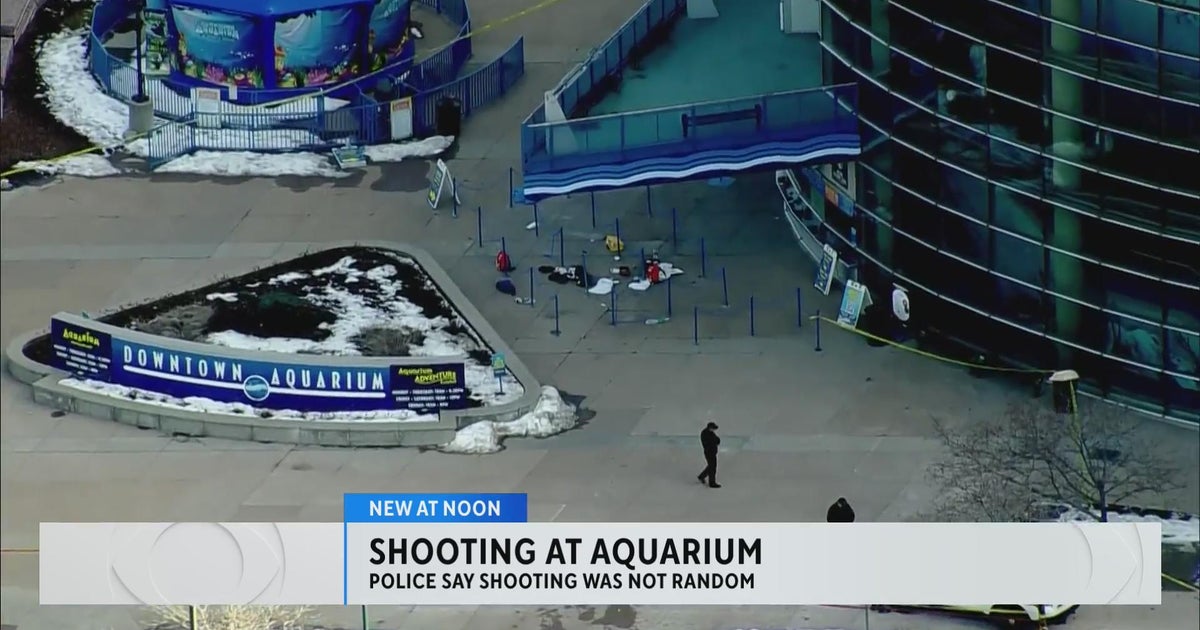 Denver police say victim in shooting outside Downtown Aquarium was targeted - CBS Colorado