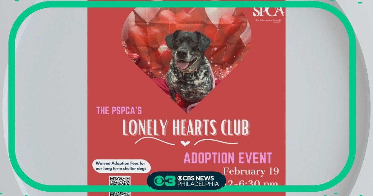 Pet Project PSPCA hosting adoption event for long term shelter dogs