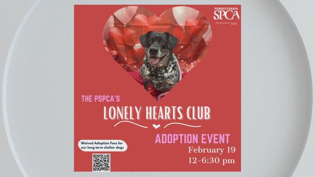PSPCA "Lonely Hearts Club" adoption event 