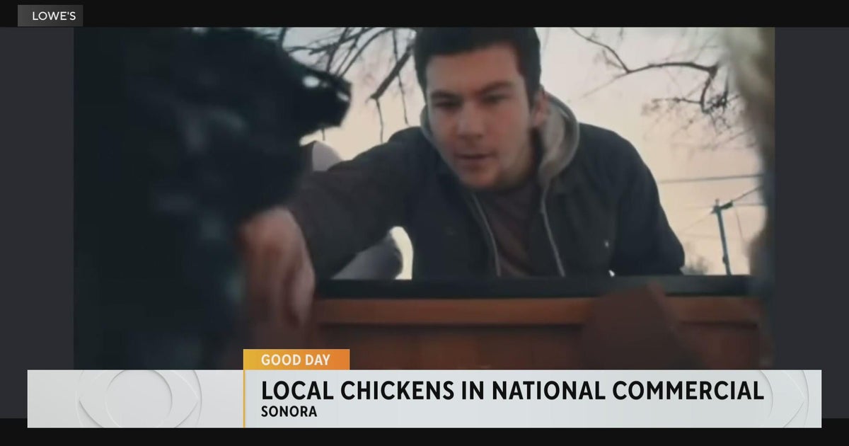 Sonora chickens appear in Super Bowl commercial