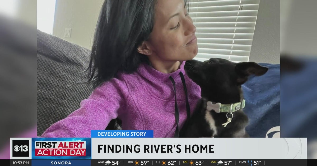 Update on lost pup found by CBS13