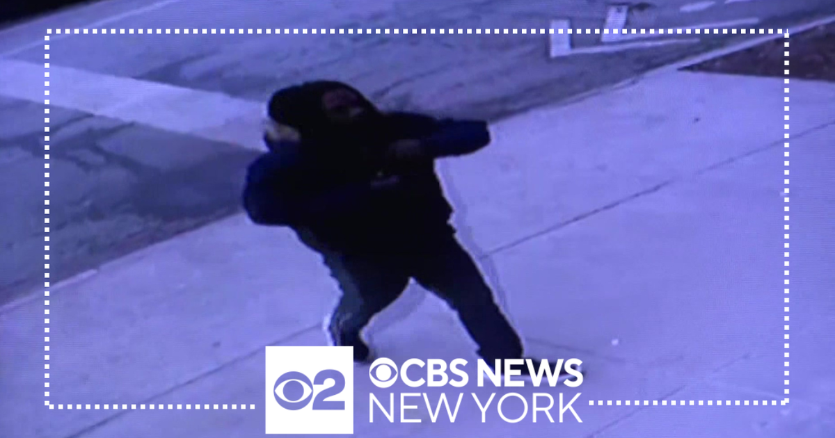 Thief Caught On Video Stealing From Liquor Store Police Say Cbs New York
