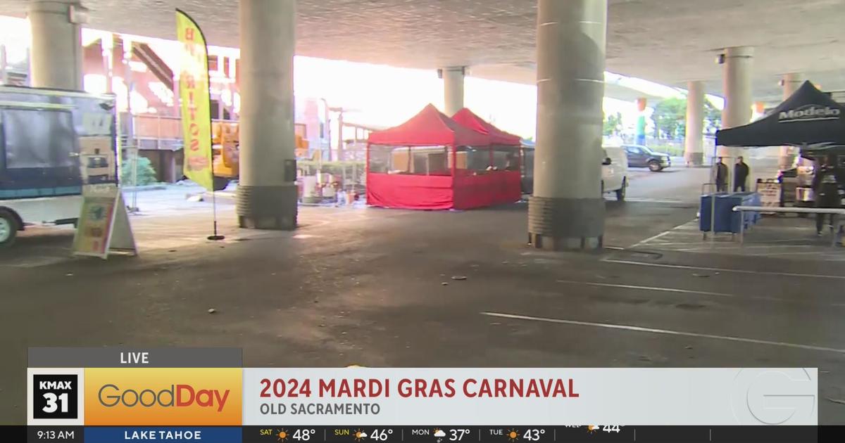 carnival mardi gras 9317