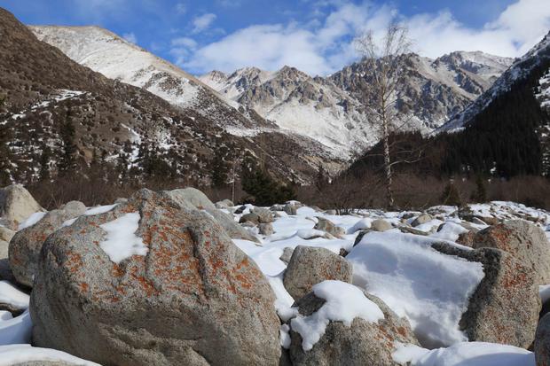 Avalanche kills 4 skiers in Kyrgyzstan visiting from Czech Republic and Slovakia