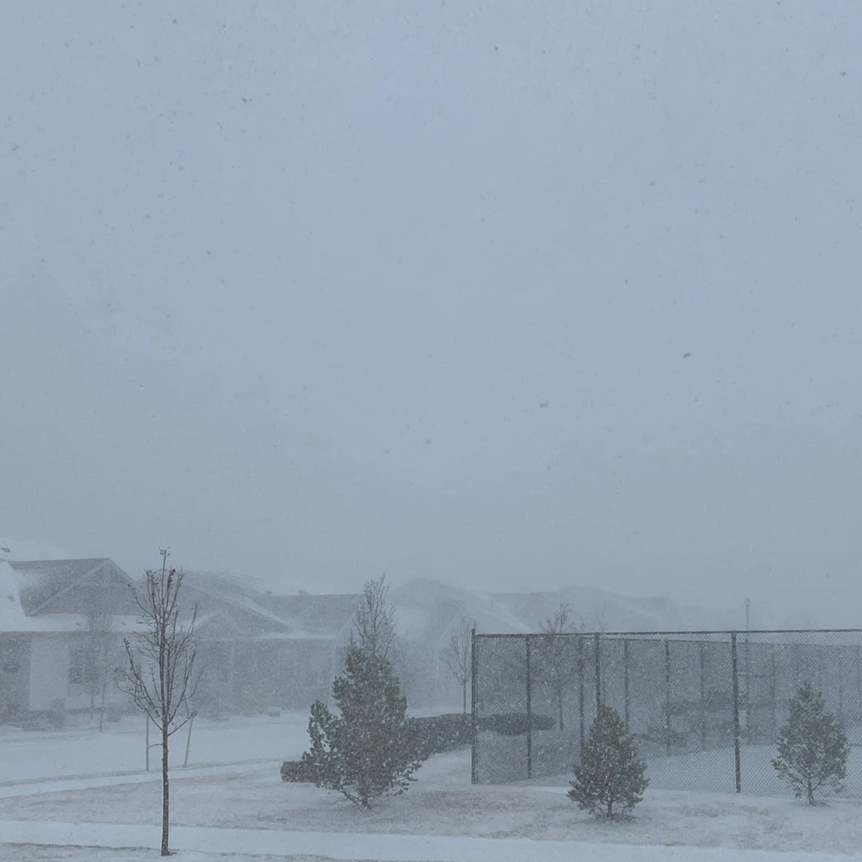 What is a snow squall warning? Fast-moving Colorado snowstorm brought ...