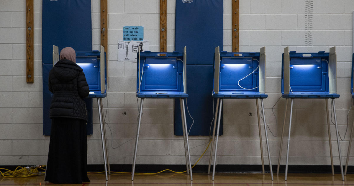 How many people voted in the 2024 Michigan primary? Here’s voter
