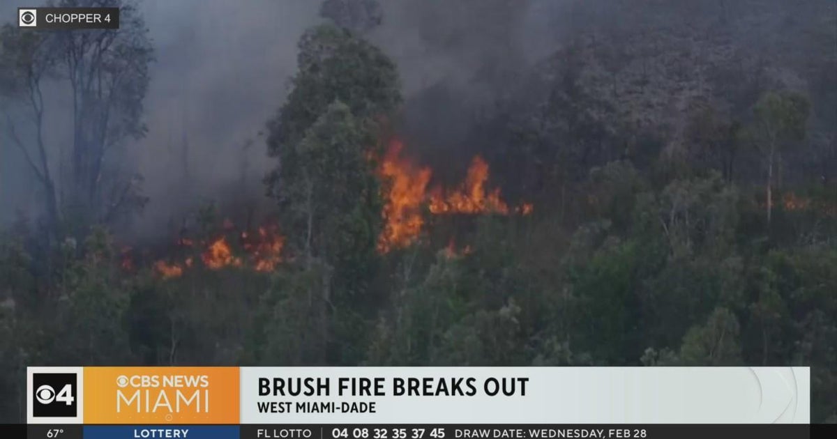 Brush fire in western Miami-Dade about 50 percent contained - CBS Miami
