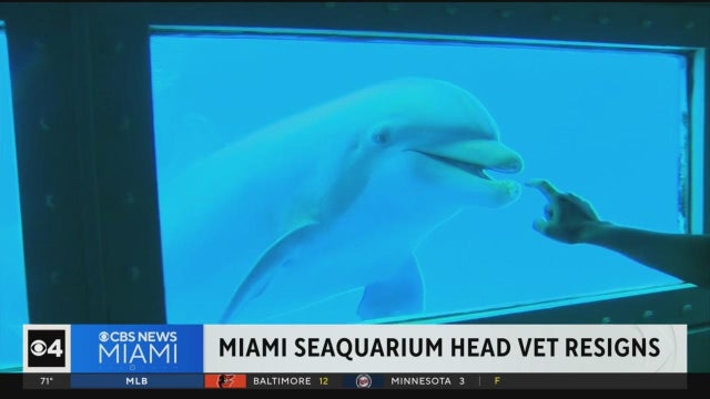 miami-seaquarium.jpg 