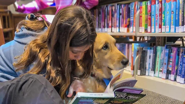 Dogs and Reading Skills 