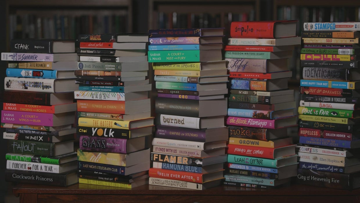 South Carolina school district reviews, returns dozens of books after ...