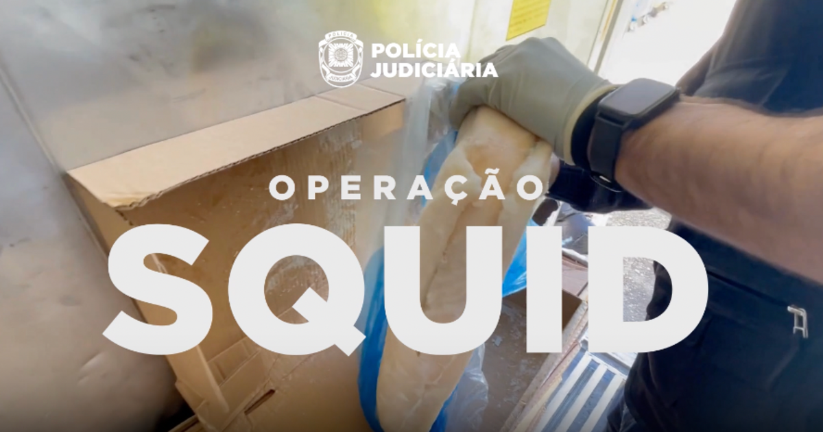 1.3 tons of cocaine found hidden in frozen fish in Portugal: “Operation Squid”