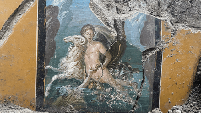 fresco-img-6482-600-1.png 