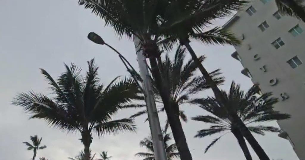 It really is 305 Working day in Miami It really is 305 Working day in Miami