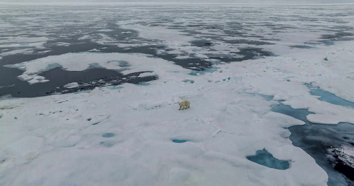 Арктика може да бъде свободна от лед само след няколко