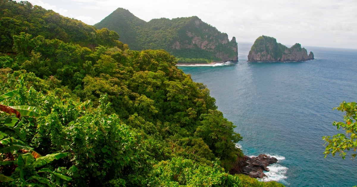 American Samoa splits delegates in Democratic caucuses between Biden, Jason Palmer