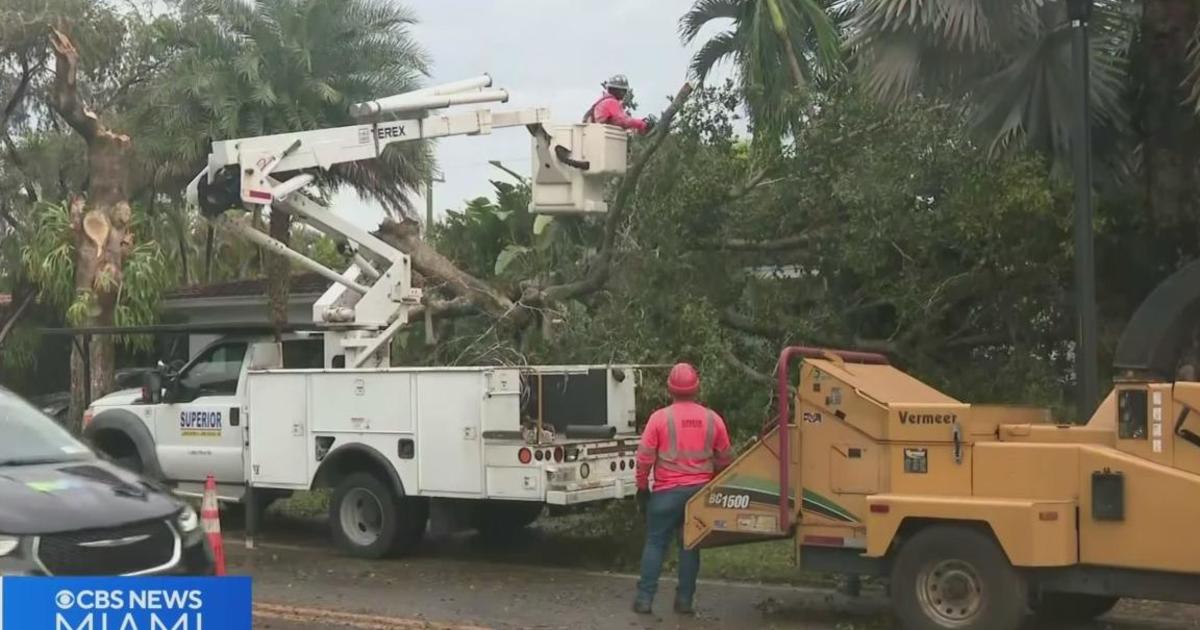 Tree falls on Coral Gables household,