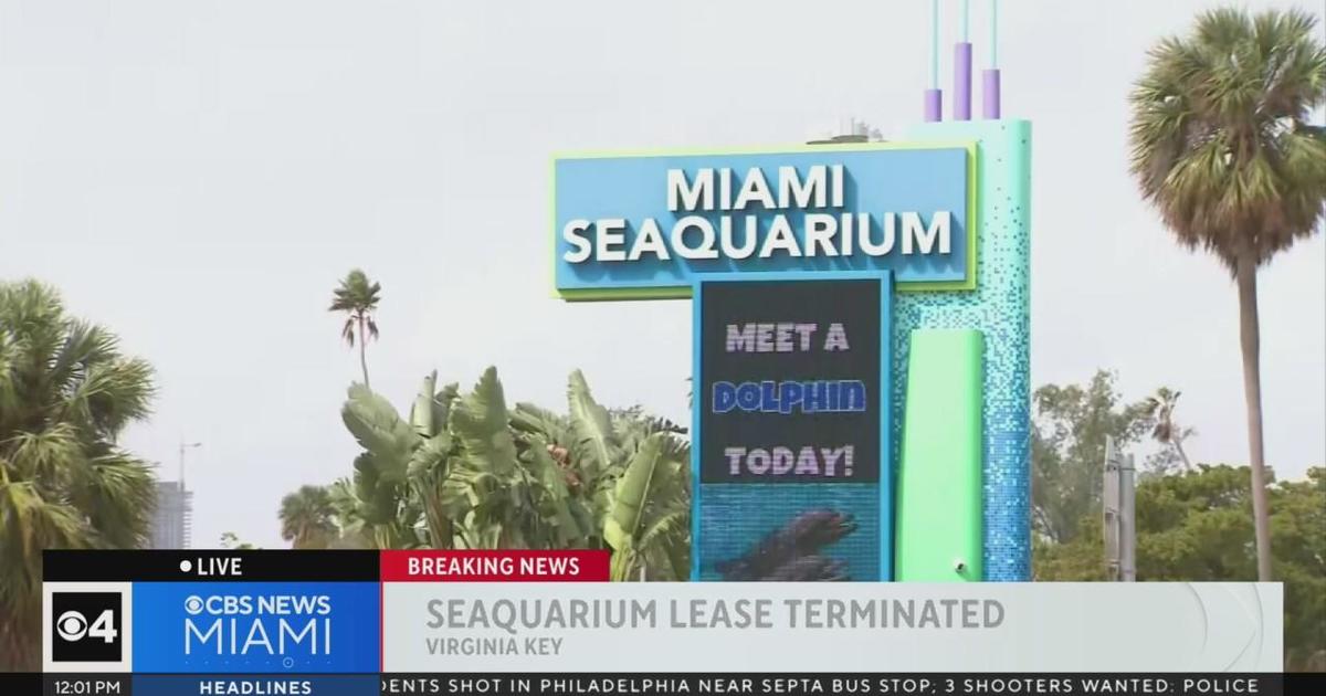 Miami-Dade terminating lease with Miami Seaquarium’s owners