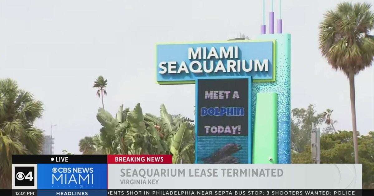 Miami-Dade terminating lease with Miami Seaquarium’s owners Miami-Dade terminating lease with Miami Seaquarium’s owners