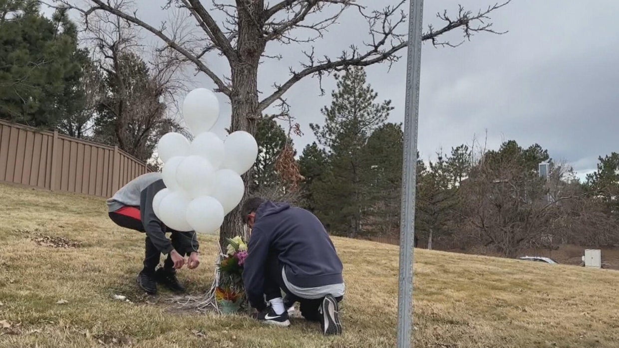 Van strikes, kills Colorado middle school student on Highlands Ranch ...