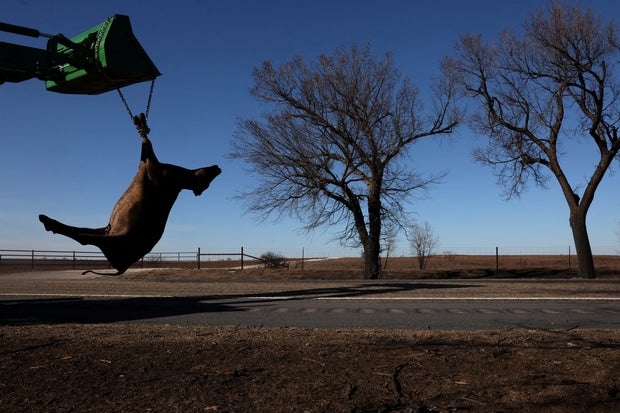 Aftermath of wildfires in Canadian, Texas