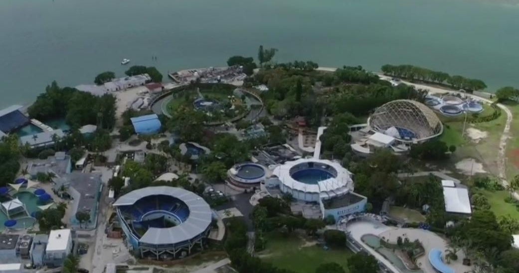 Miami Seaquarium operators have responded to county’s observe of eviction