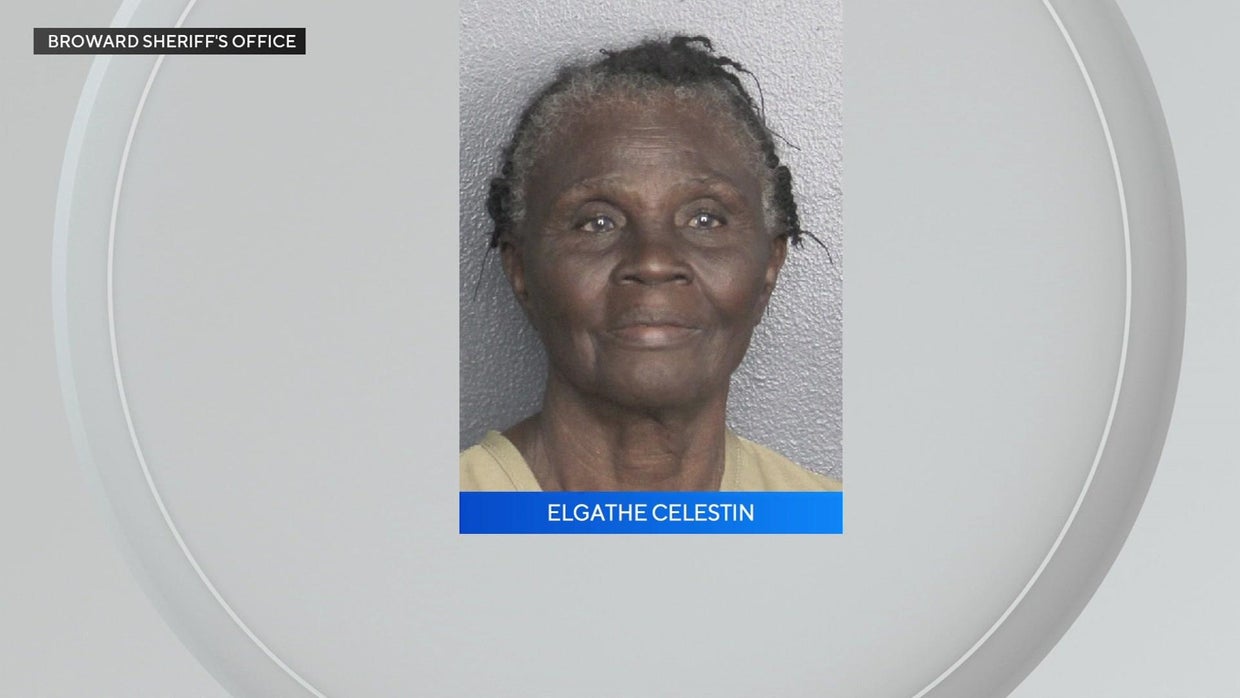 Pompano Beach woman accused of setting cat on fire - CBS Miami