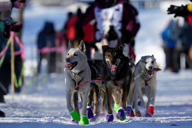 Ceremonial start of the 52nd Iditarod Trail Sled Dog Race in Anchorage 