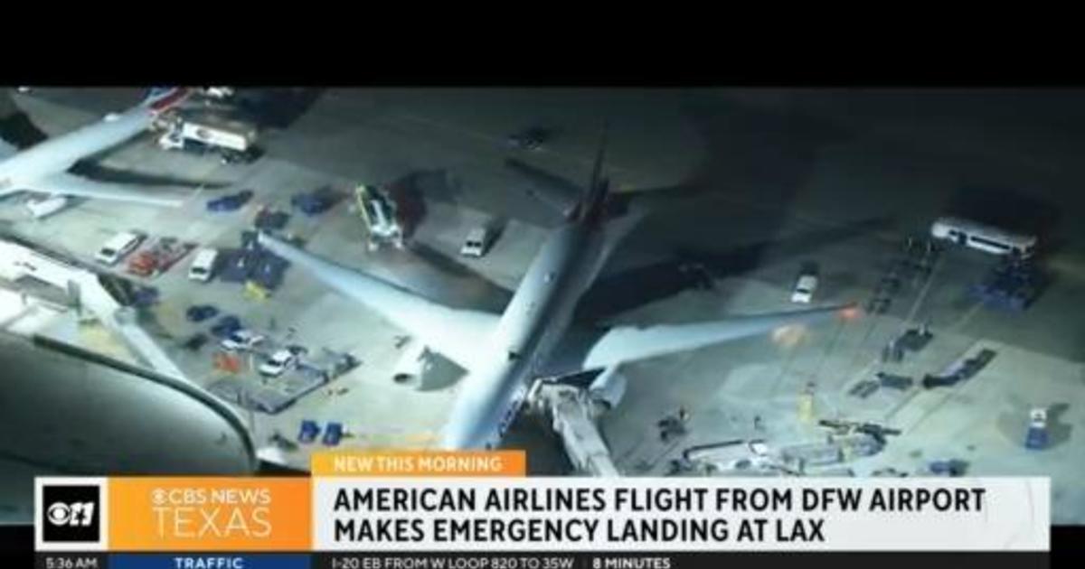 American Airlines flight makes emergency landing