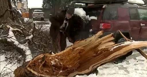 Tree limbs and branches down on Denver side streets causing issues for drivers - CBS Colorado