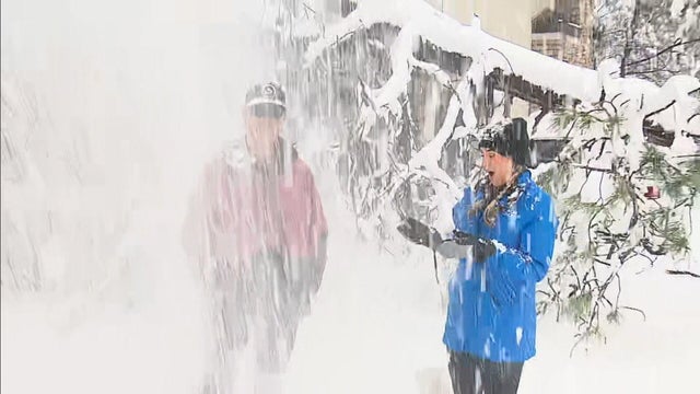 black-hawk-snowblowbs-onmicrosoft-com.jpg