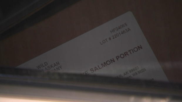 stolen-salmon-in-abandoned-car-philadelphia.jpg 