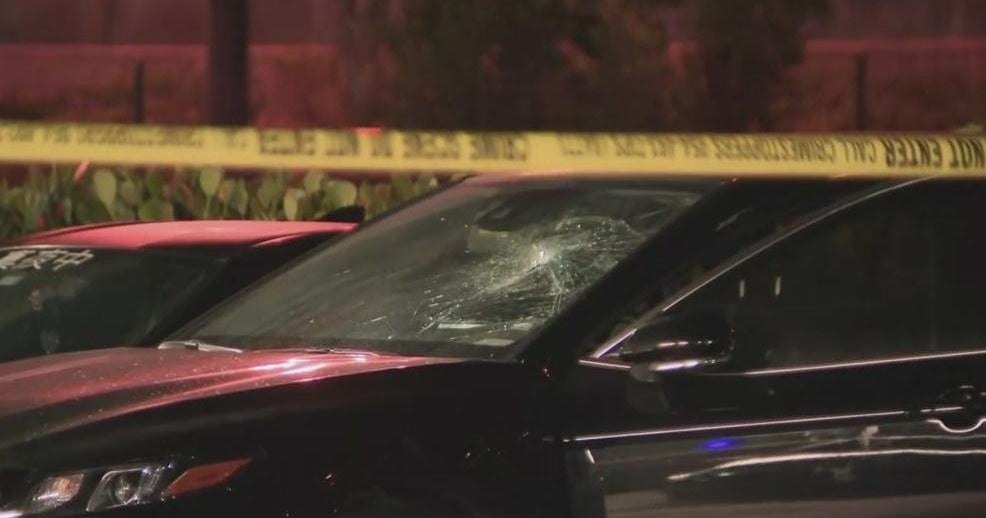 Struggle led to a capturing outside the house a hookah lounge in Davie Struggle led to a capturing outside the house a hookah lounge in Davie