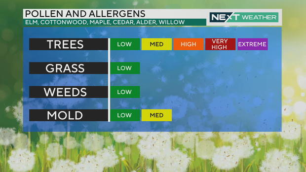 Pollen and allergy outlook for Sunday, March 17, 2024 