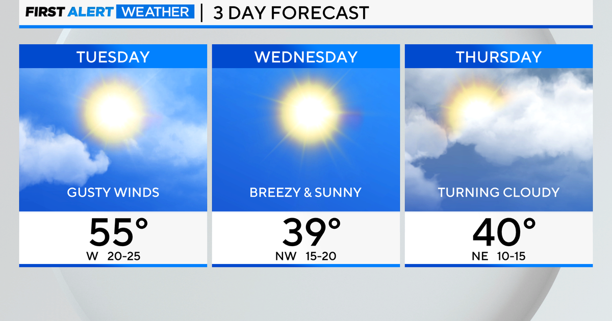 Windy and milder day in Chicago, snow returns by Friday - CBS Chicago