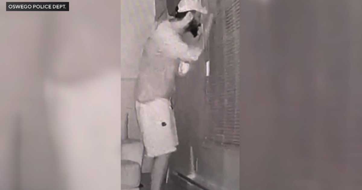 Search on for home invasion, sexual assault suspect in far west Chicago ...