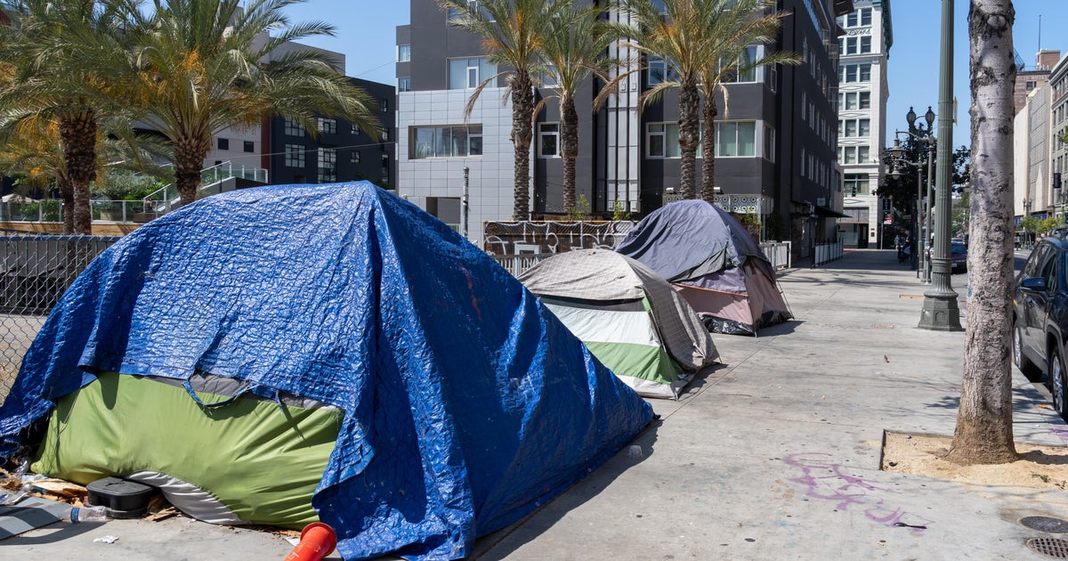 Los Angeles' 2025 homelessness count shows decrease for second consecutive year 