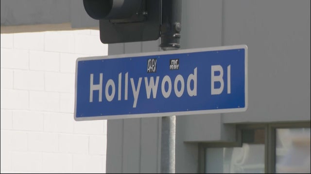 hollywood-boulevard-project.jpg 