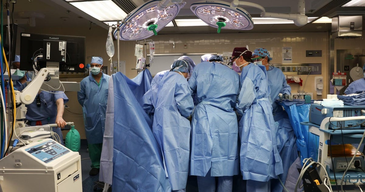 Pig kidney transplanted into man for first time ever at Massachusetts General Hospital Pig kidney transplanted into man for first time ever at Massachusetts General Hospital